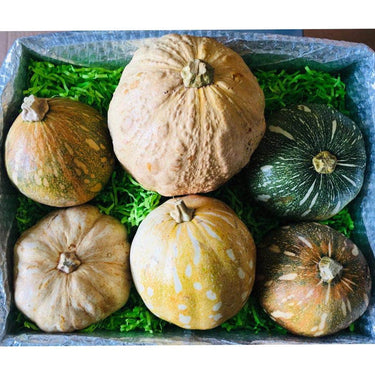 Haitian Joumou Squash Box Tropical Fruit Box Produce Box 00879502004454